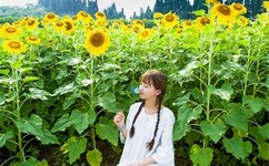 麻豆视传媒短视频官方网站在线观看